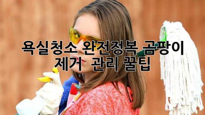 욕실✨청소 완전정복! 곰팡이 제거 & 관리 꿀팁🍯